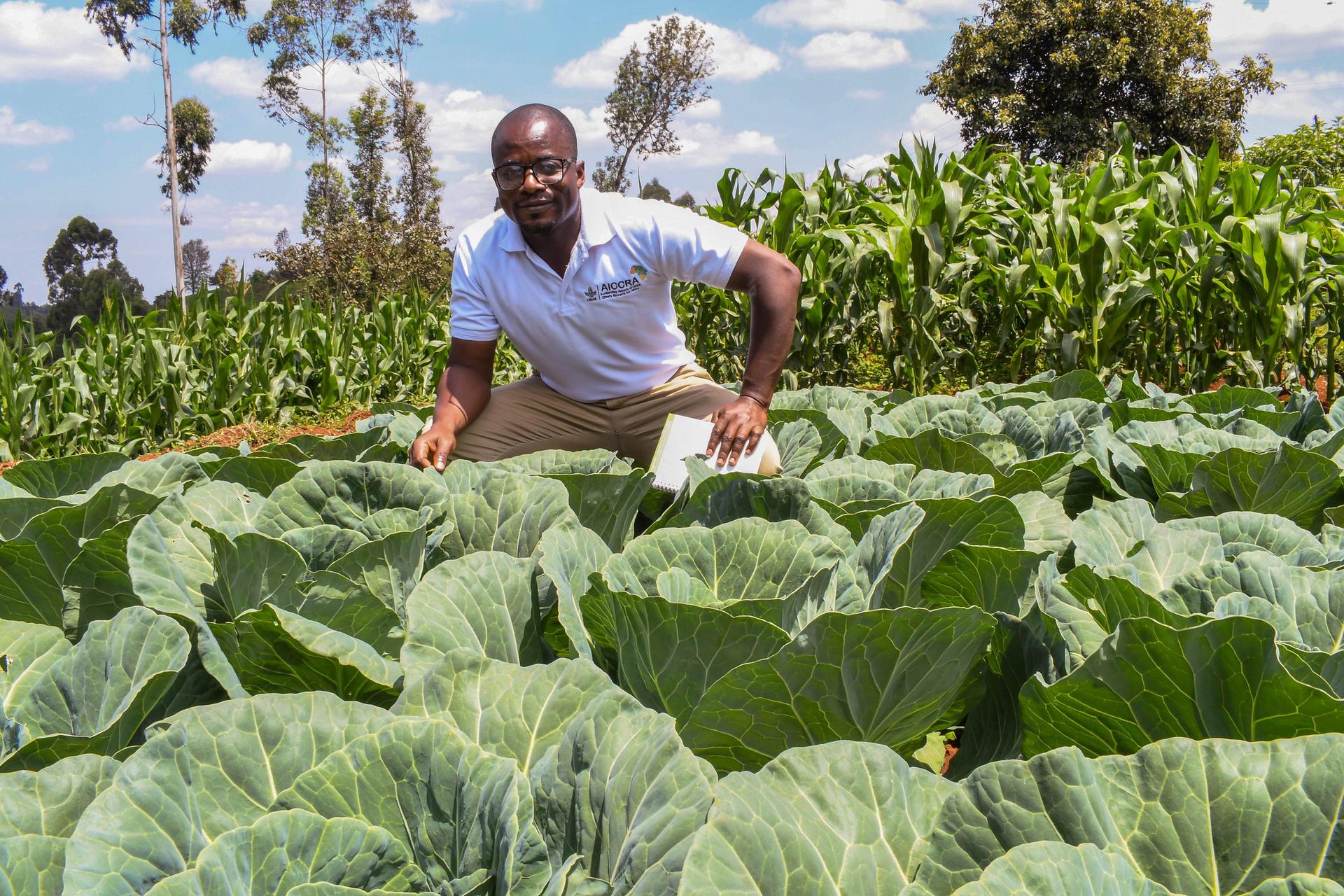 Projects And Flagship Initiatives in Kenya - Alliance Bioversity International - CIAT - Image 1