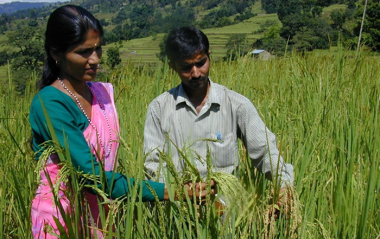 Projects and flagship initiatives in Nepal - Image 20