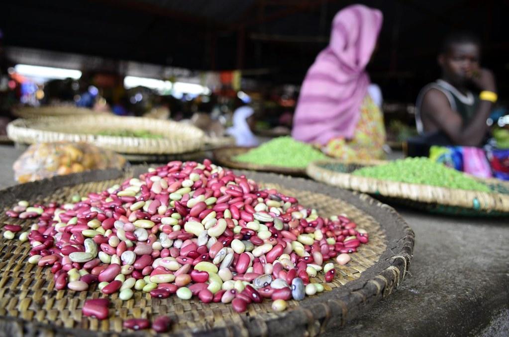 Projects and Flagship Initiatives in Rwanda - Alliance Bioversity International - CIAT - Image 12