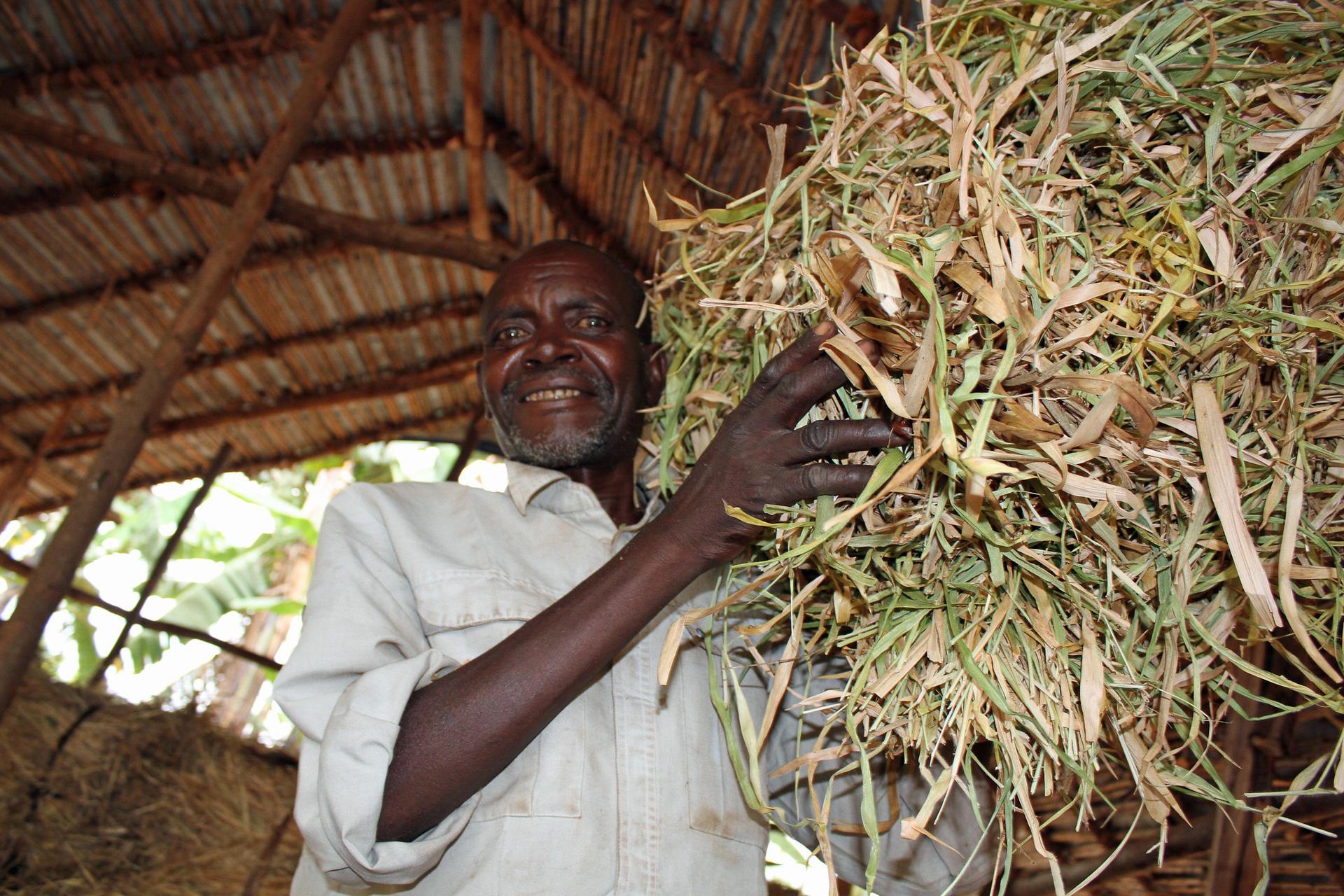 Projects and Flagship Initiatives in Rwanda - Alliance Bioversity International - CIAT - Image 4