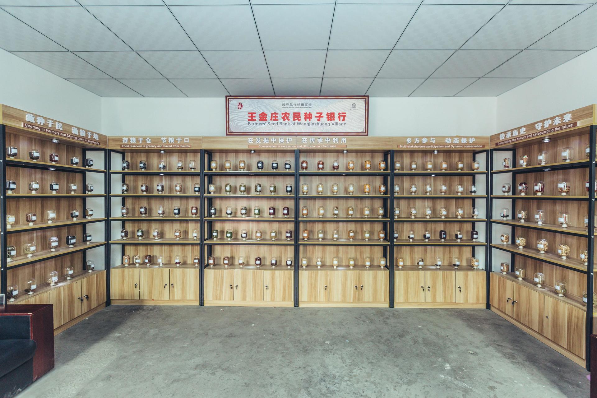 Projects and Flagship Initiatives in the China - Image 2