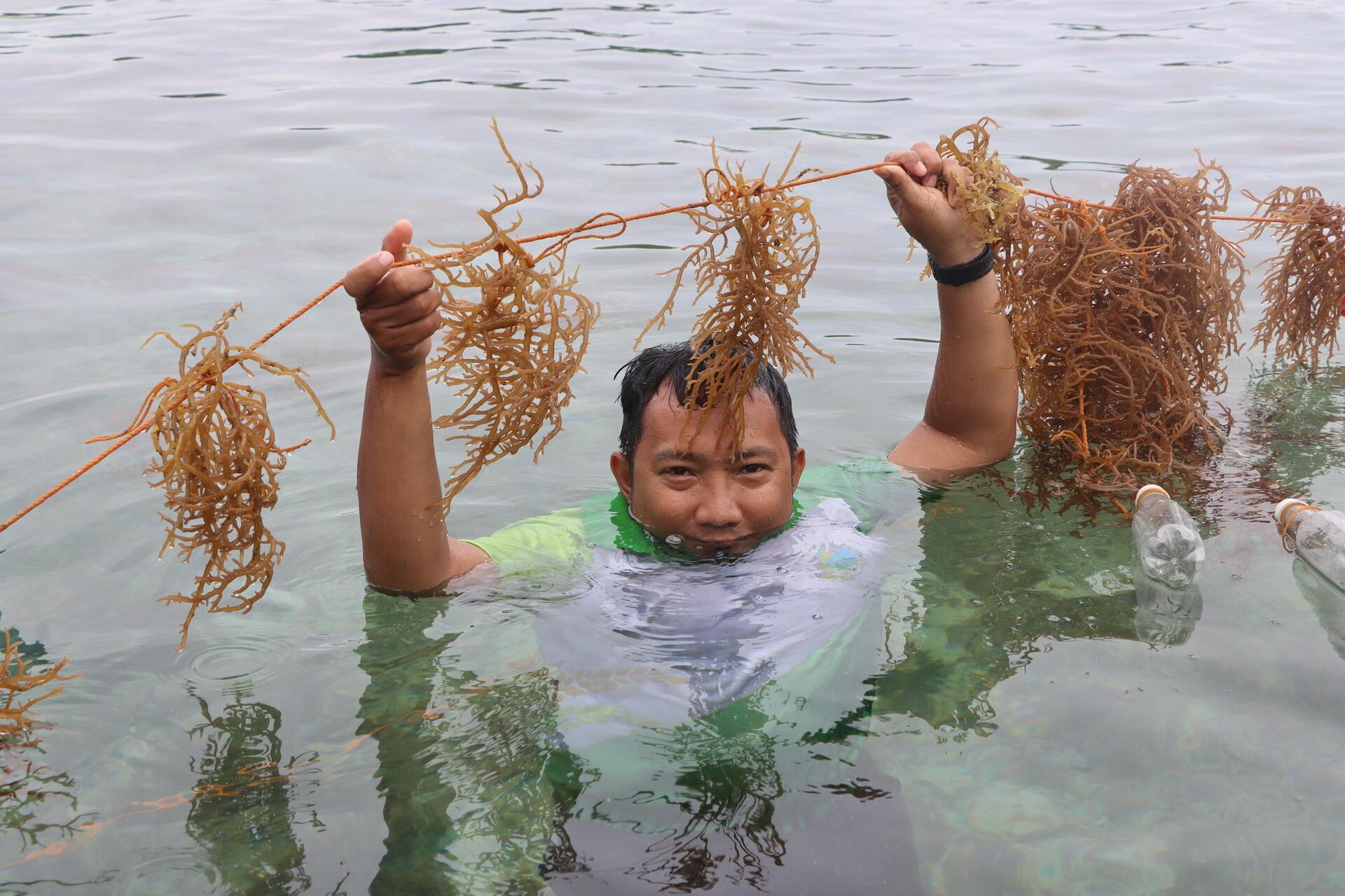 Projects and Flagship Initiatives in the Philippines - Alliance Bioversity International - CIAT - Image 1