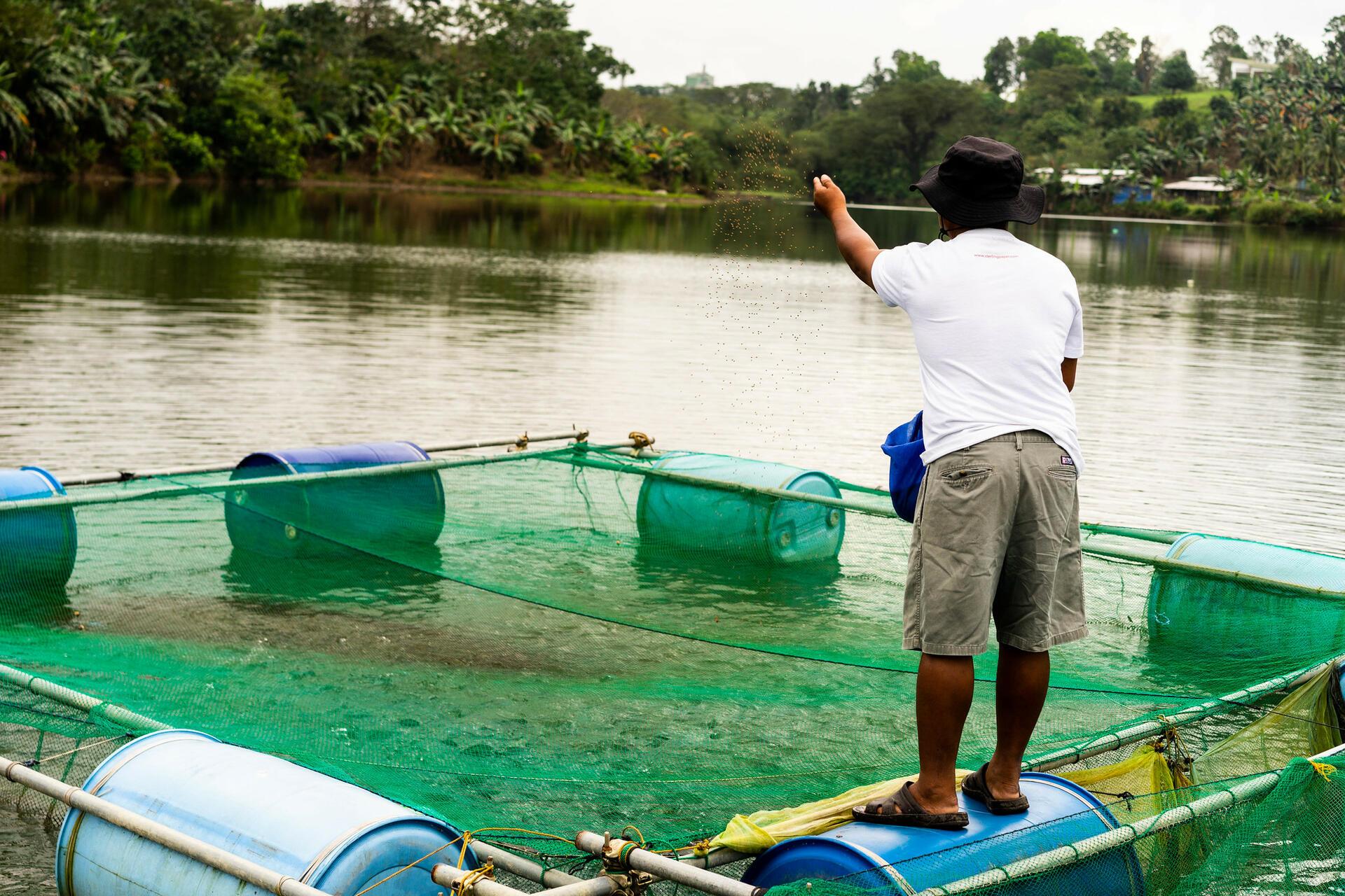 Projects and Flagship Initiatives in the Philippines - Alliance Bioversity International - CIAT - Image 6
