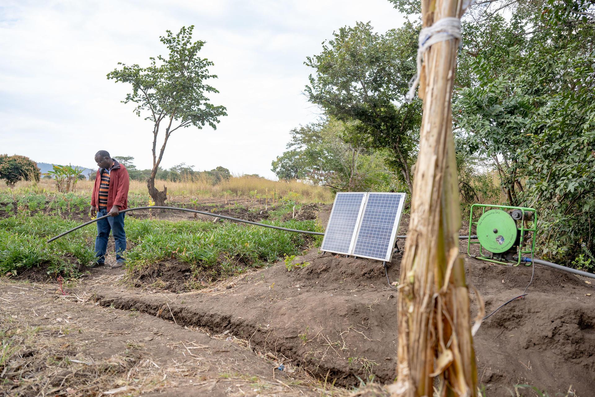 Projects and Flagship Initiatives in Zambia - Image 3