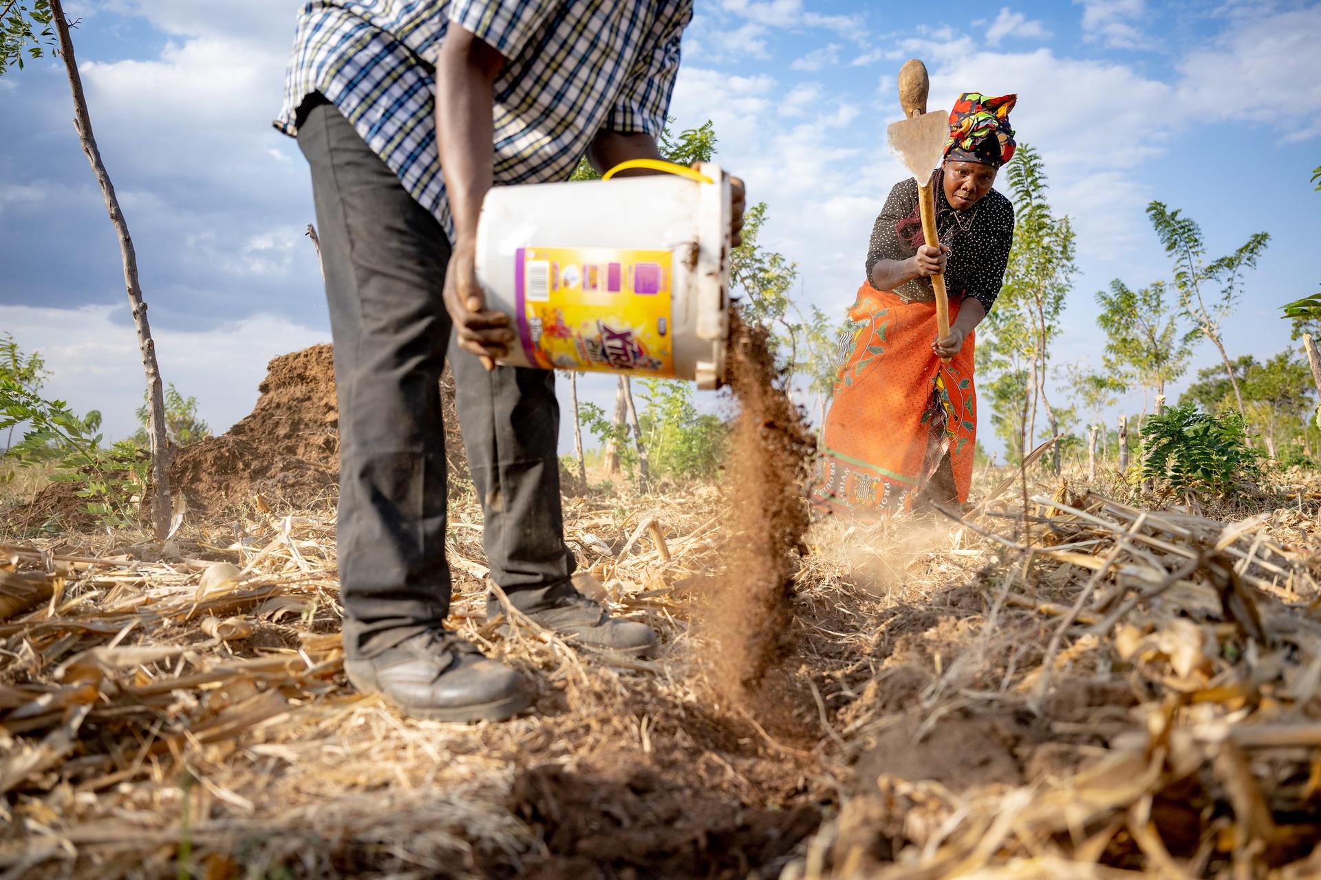 Projects and Flagship Initiatives in Zambia - Image 8