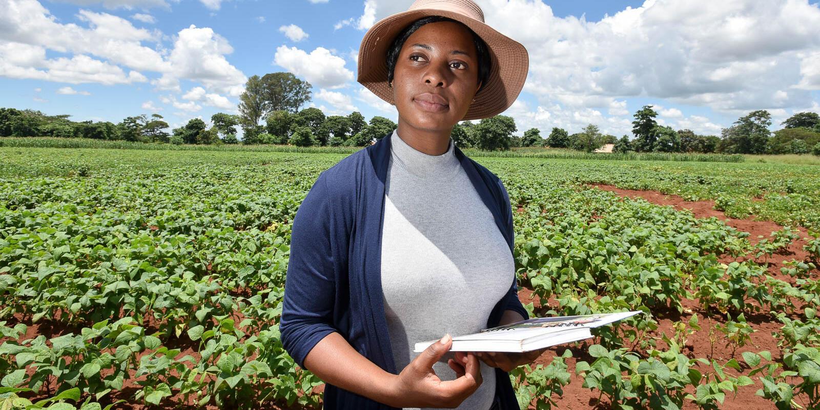 Projects and Flagship Initiatives in Zimbabwe - Image 3