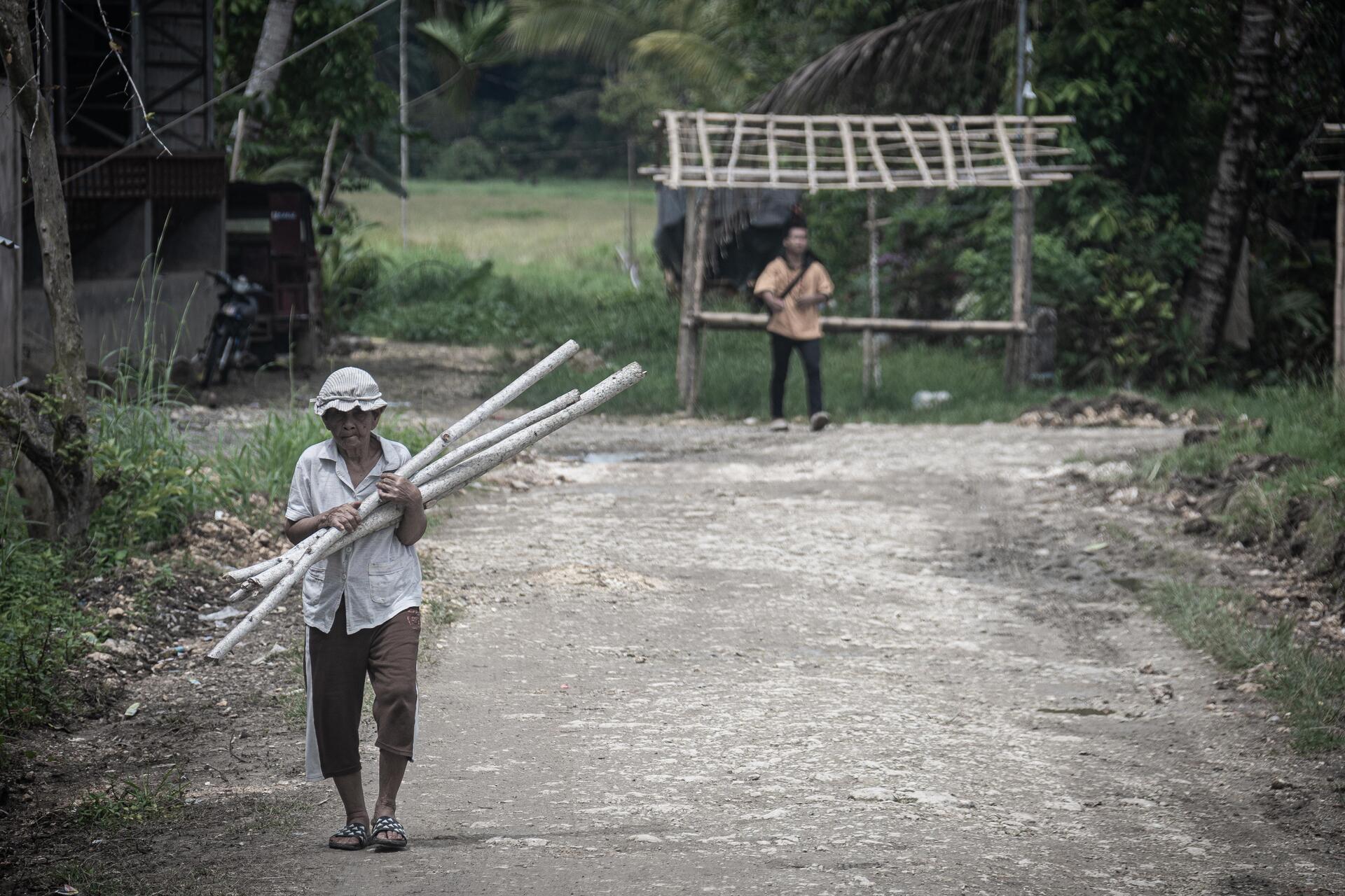 Promoting peace and climate resilience in a post-conflict region of the Philippines - Image 3