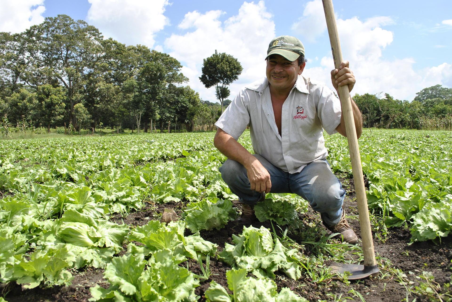 Proyectos E Iniciativas Emblemáticas en Nicaragua - Foto 5