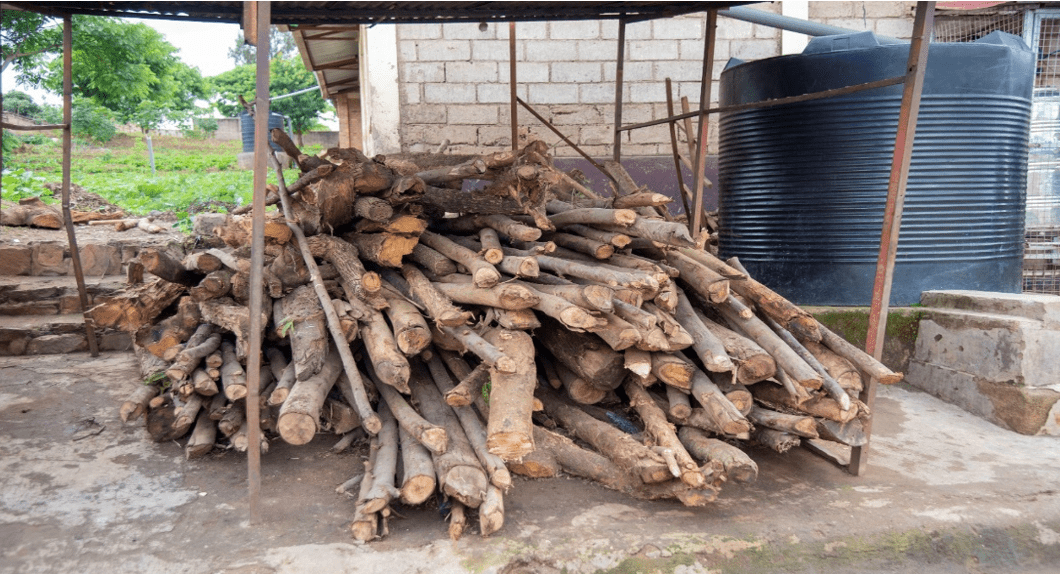 Reforming school meals in Rwanda through common beans - Image 2