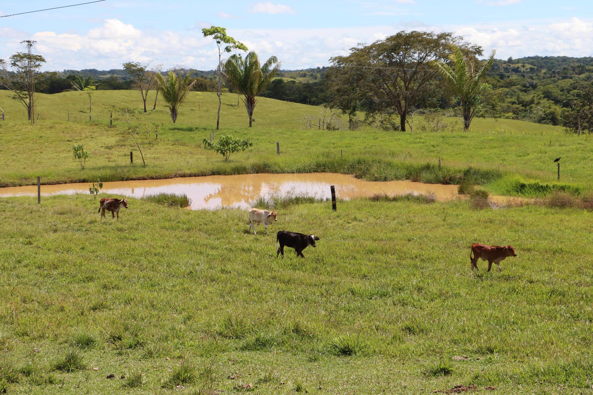 Reforming the Land, Reforming the Future - Photo credit Anny Yedra CIAT