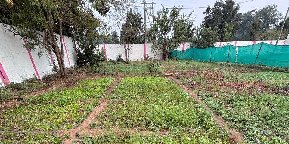 Reimagining School Meals Through Agrobiodiversity in Madhya Pradesh - Image 4