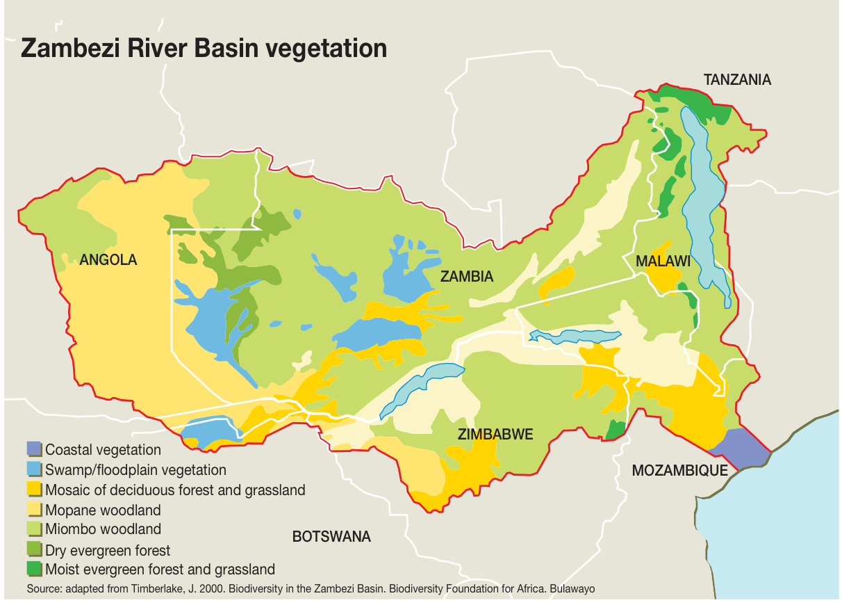 Restoring Zambia&rsquo;s Miombo Forests, Rebuilding Livelihoods upgrading food systems Lessons from a Stakeholder Consultation in Lusaka and Ndola - Image 1