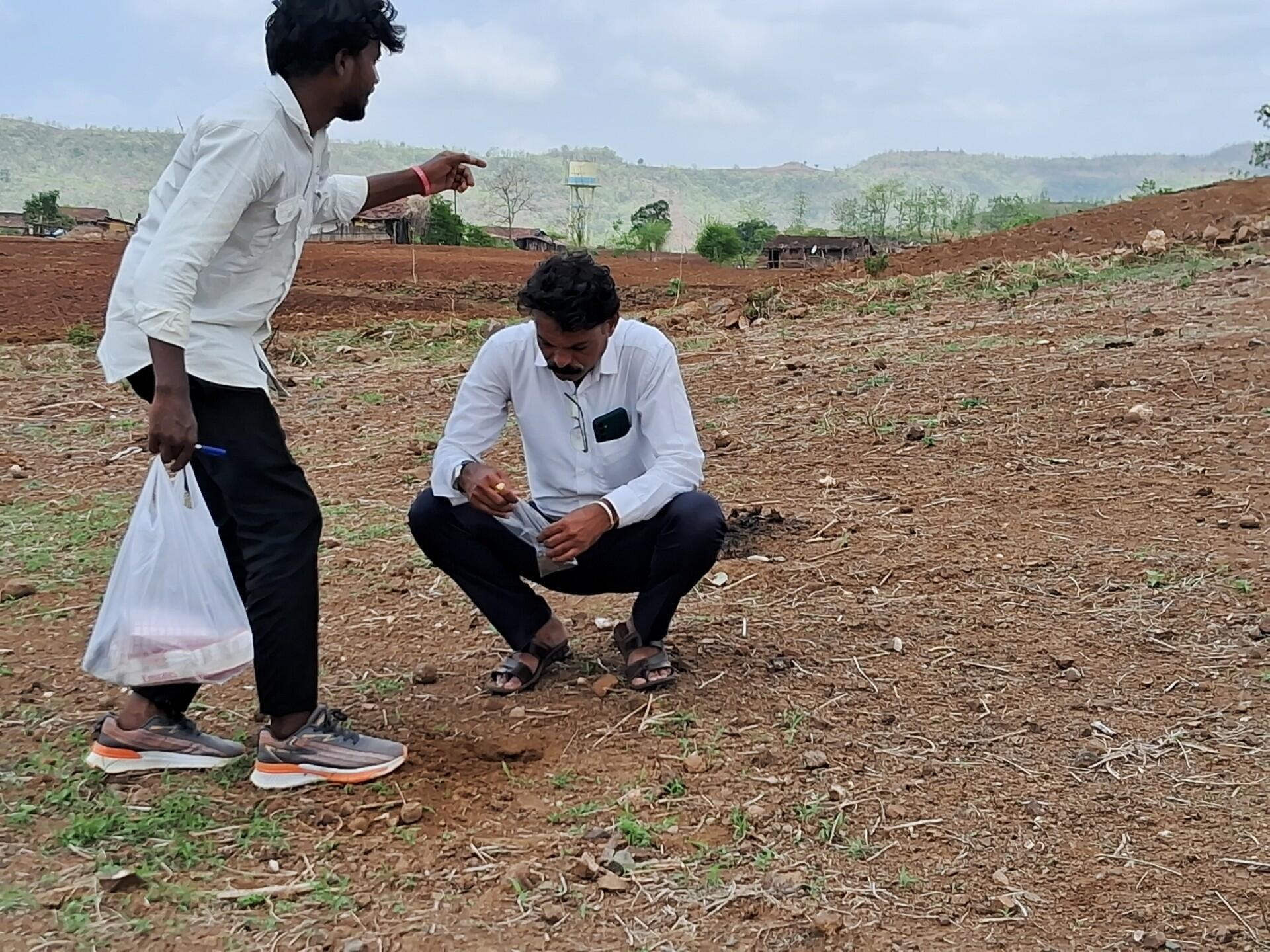 Reviving the earth Soil health insights from Akole and Nandurbar, Maharashtra, India - Image 2