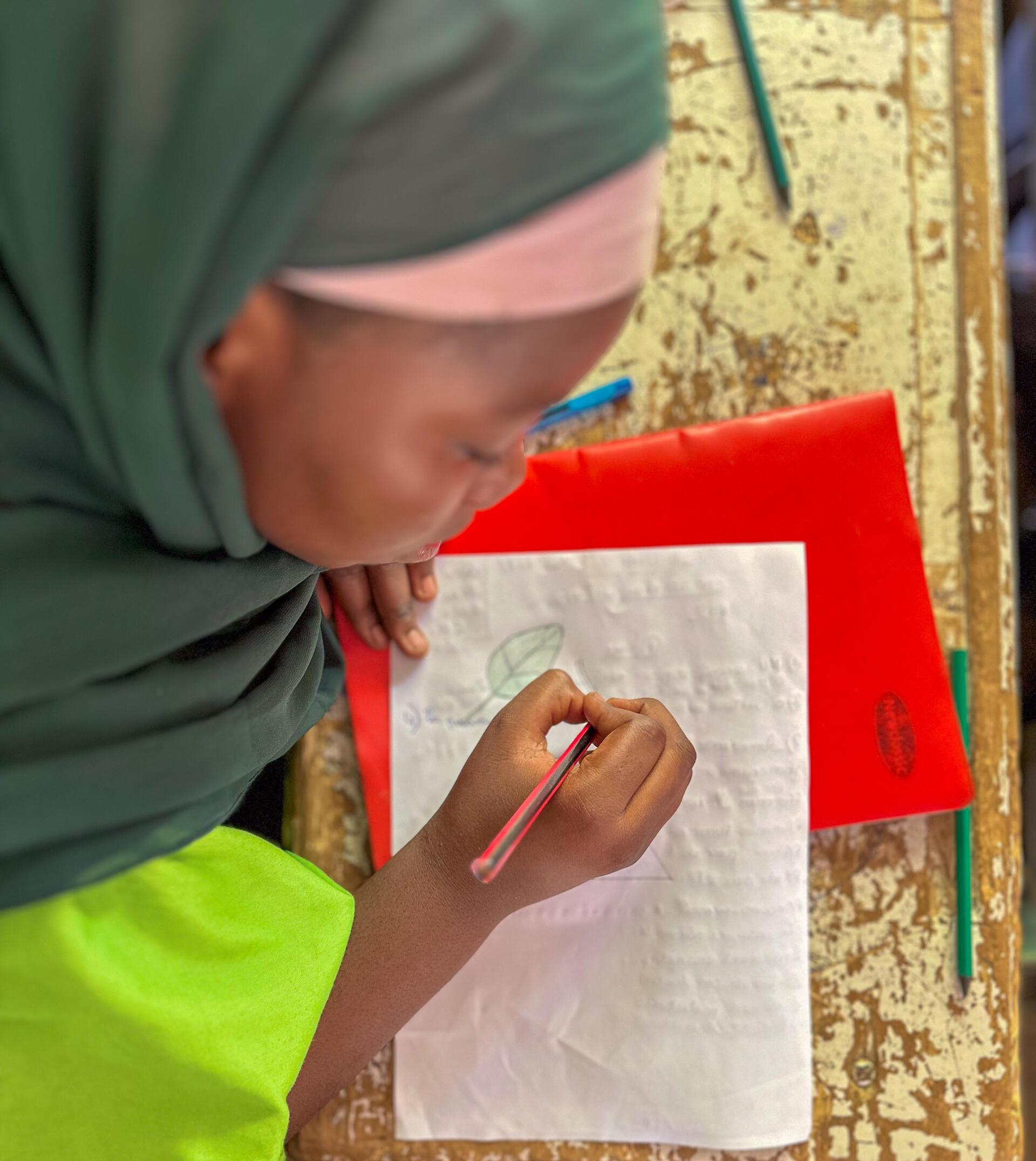 Roots of change - How Niger's schoolchildren are rediscovering forgotten foods - Image 1