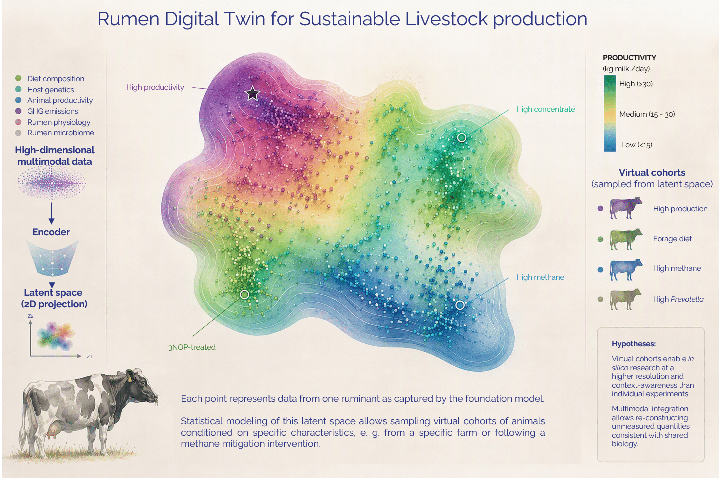 Rumen Digital Twin Project - Alliance Bioversity International and  CIAT - Image 2