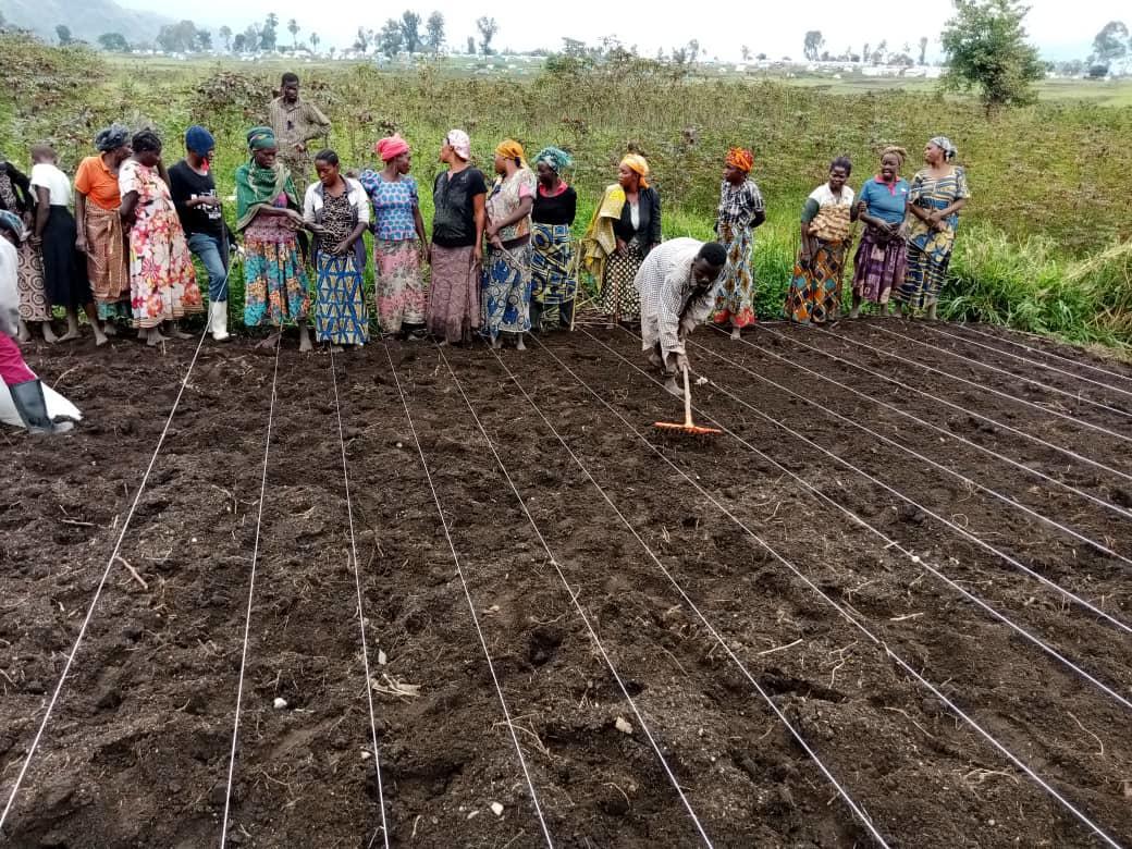 Rural Women Empowerment in Eastern DRC Through the Beans Value Chain - Image 4