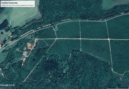 Satellite imagery of coffee farms - Coffee hacienda in Brazil under full sun - Image Google Earth Pro