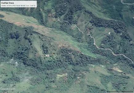 Satellite imagery of shaded smallholder coffee in Colombia - Image Google Earth Pro