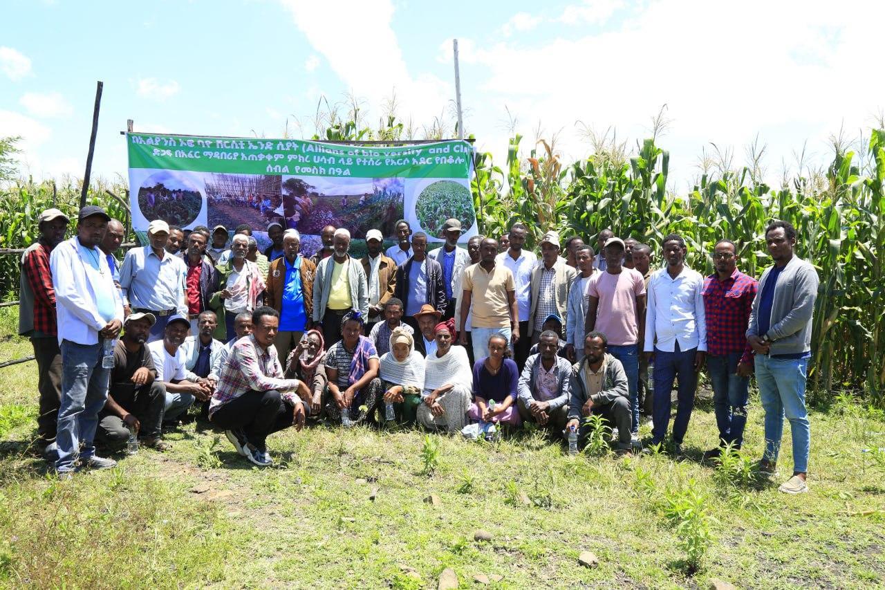 Scaling Optimized Fertilizer Use for Sustainable Maize Farming - Image 3