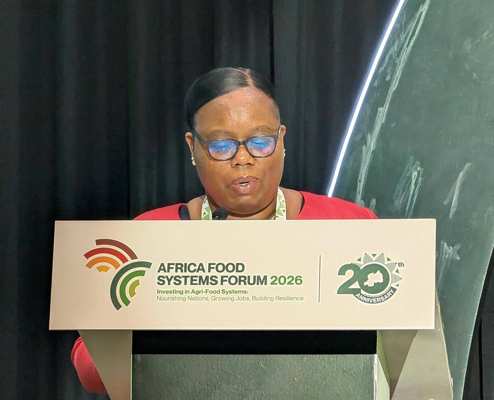 Scaling science in Africa - Alliance launches 2026&ndash;2030 strategy with new partners - Image 10