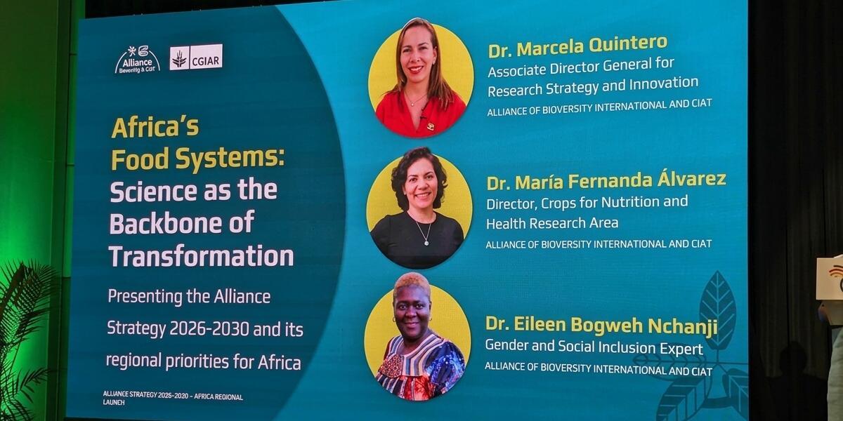 Scaling science in Africa - Alliance launches 2026&ndash;2030 strategy with new partners - Image 4
