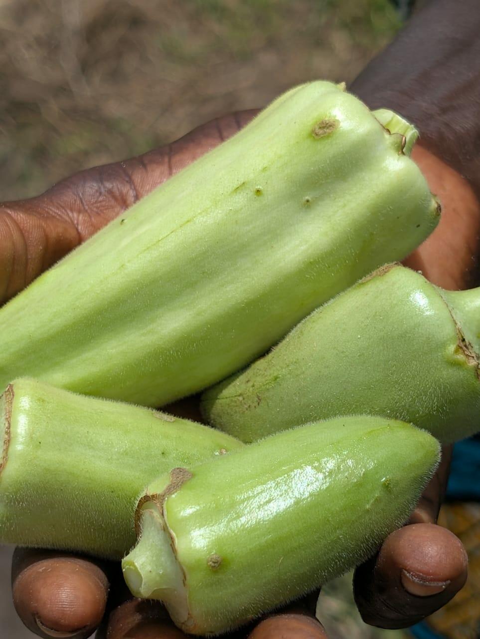 Selling to feed, adapting to survive the key role of traditional markets in Senegal - Image 2