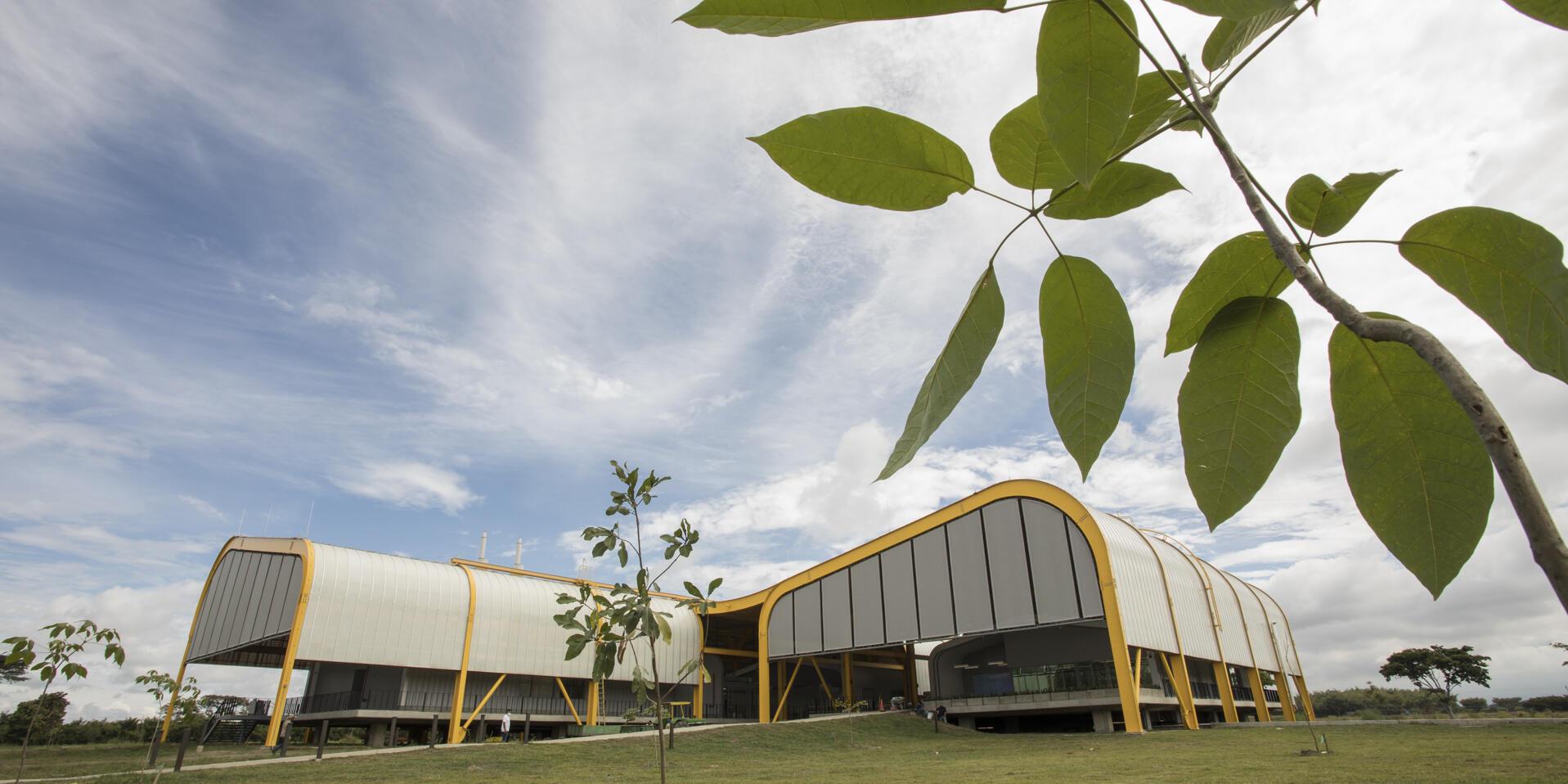 Future Seeds Building