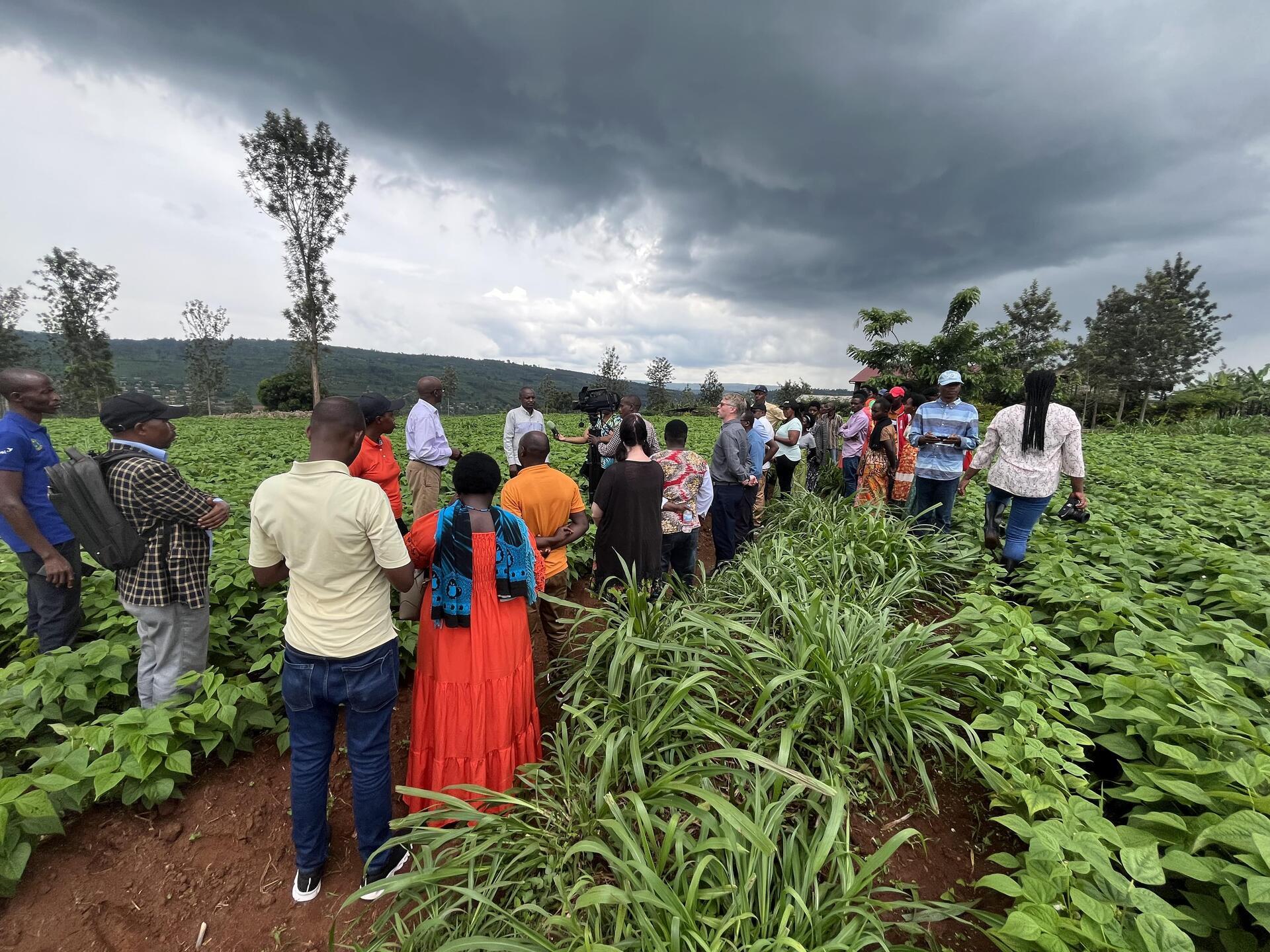 Smart Farming with Weather and Climate Information - Empowering Rwandan Farmers to Beat the Climate Crisis - Image 1