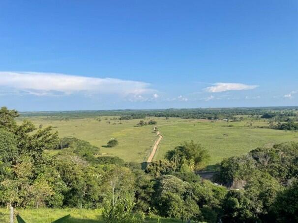 Soil conservation strategies in Amazon agroecosystems - An ethnoecological approach - Image 2