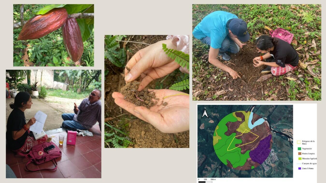 Soil conservation strategies in Amazon agroecosystems - An ethnoecological approach - Image 3