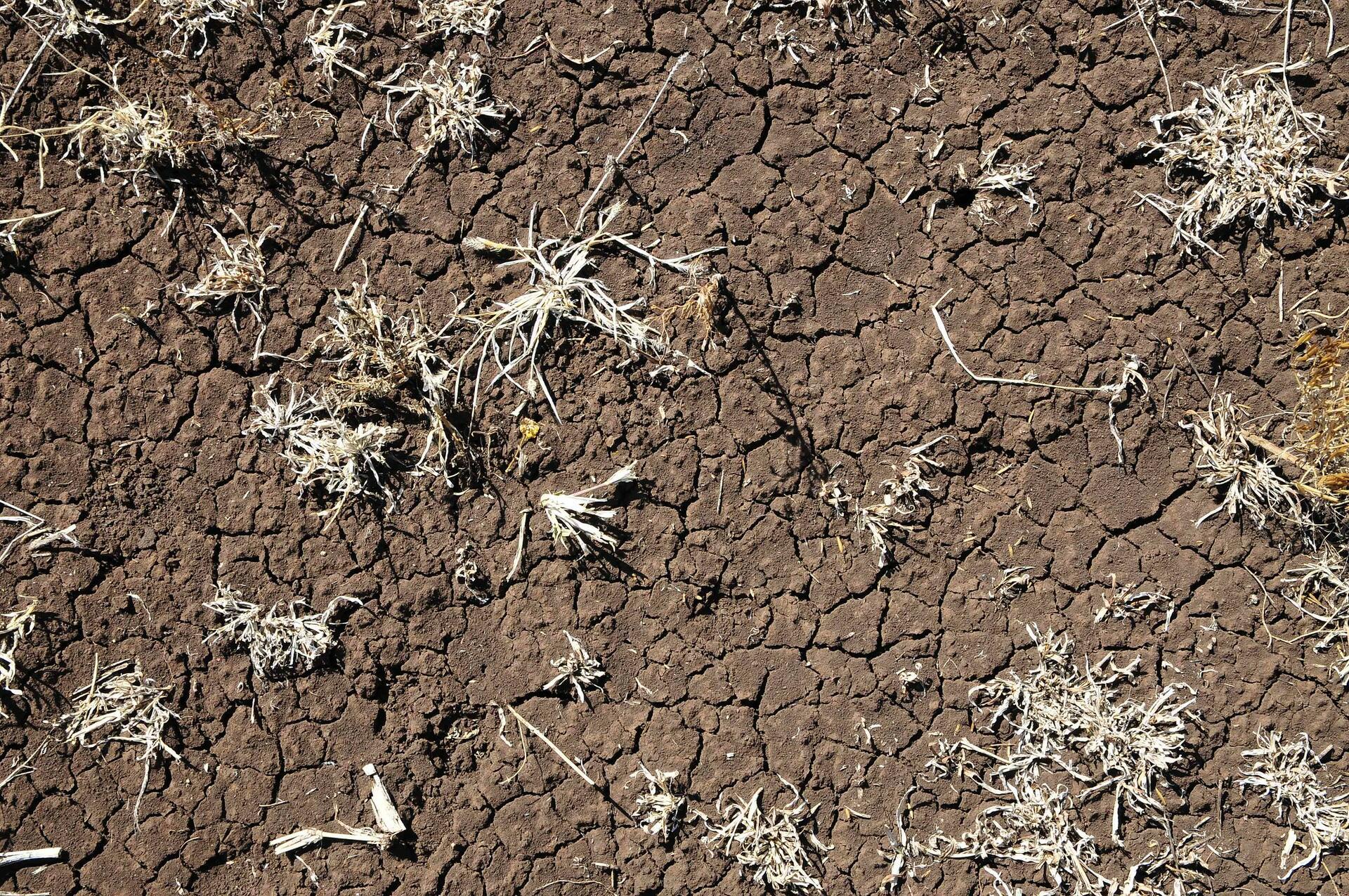 Soil erosion on cultivated cropland in Africa