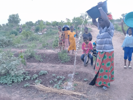 Sowing the Drops of Change Transforming Lives in the Sahel Amidst Climate Adversity - Image 2