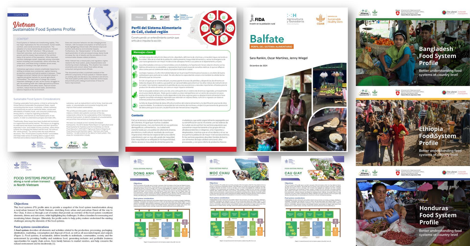 Stakeholder Engagement at the Subnational level as a key entry point for Food System Transformation - Food Systems Profiles