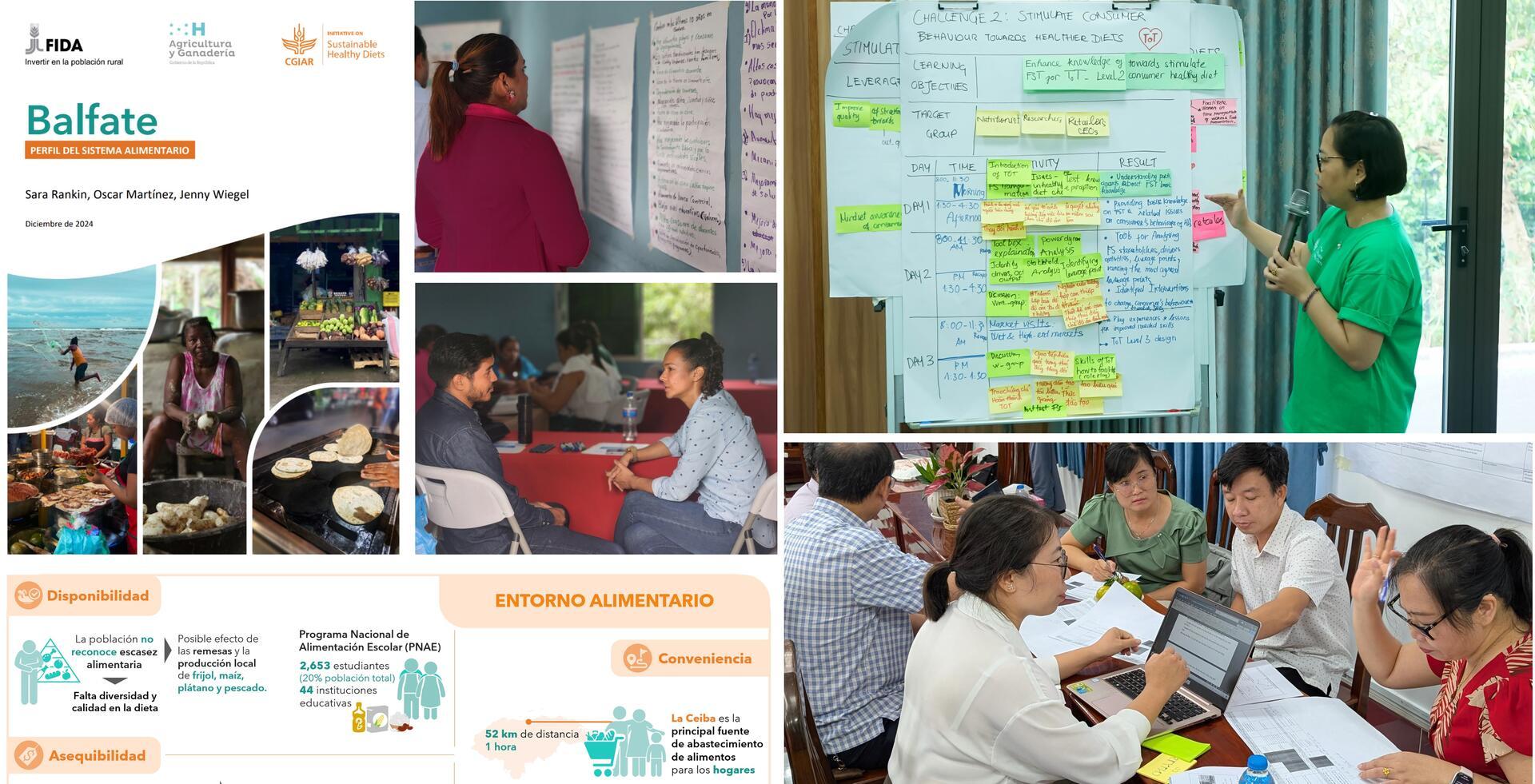 Stakeholder Engagement at the Subnational level as a key entry point for Food System Transformation - Processes in countries