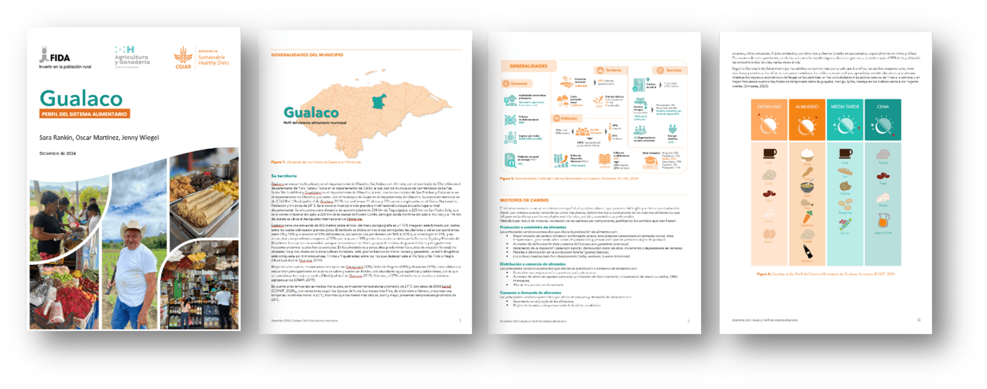 Stakeholder Engagement at the Subnational level as a key entry point for Food System Transformation - Subnational Gualaco
