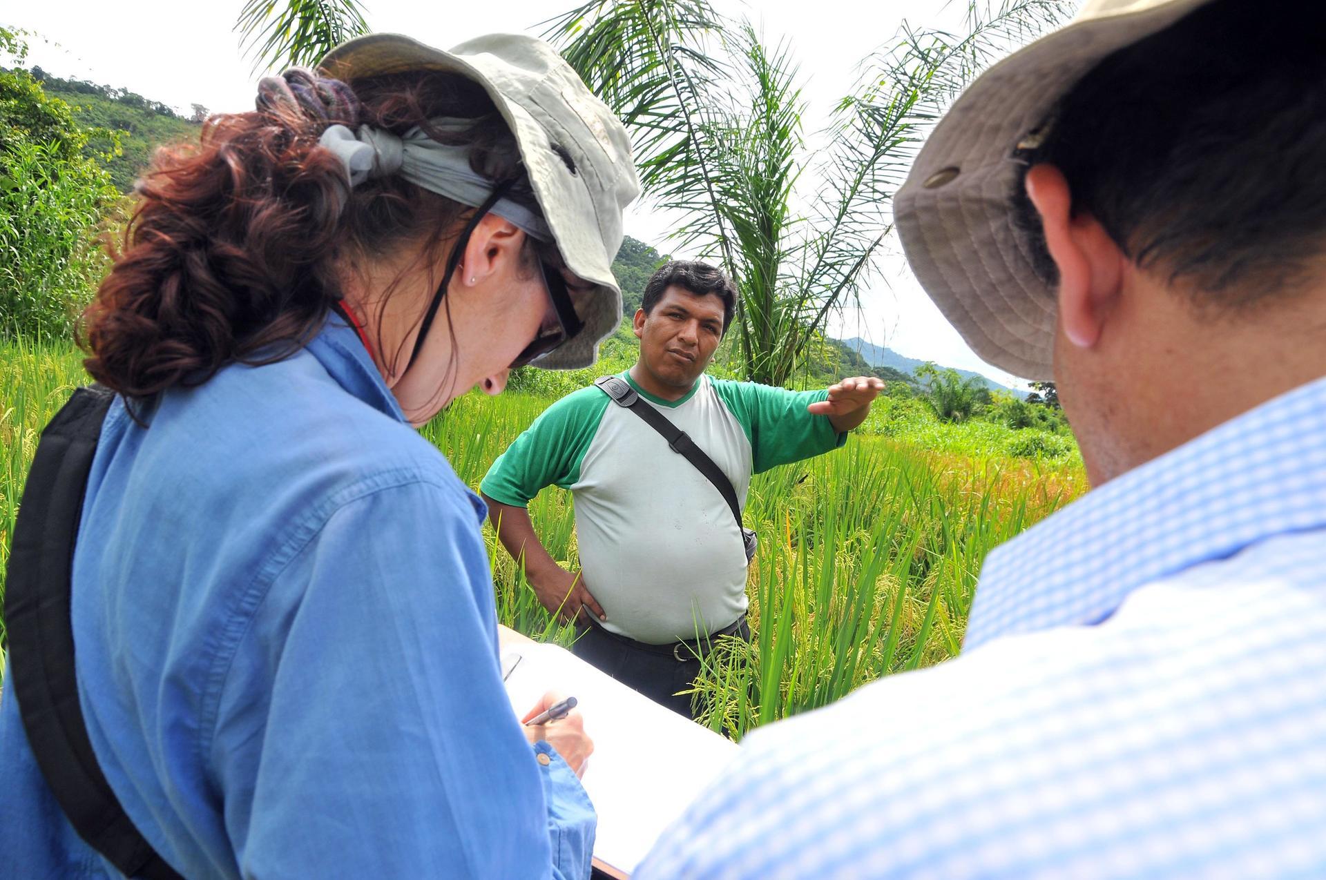 Strategic Analysis for Impact with a Gender Focus - Alliance Bioversity International - CIAT