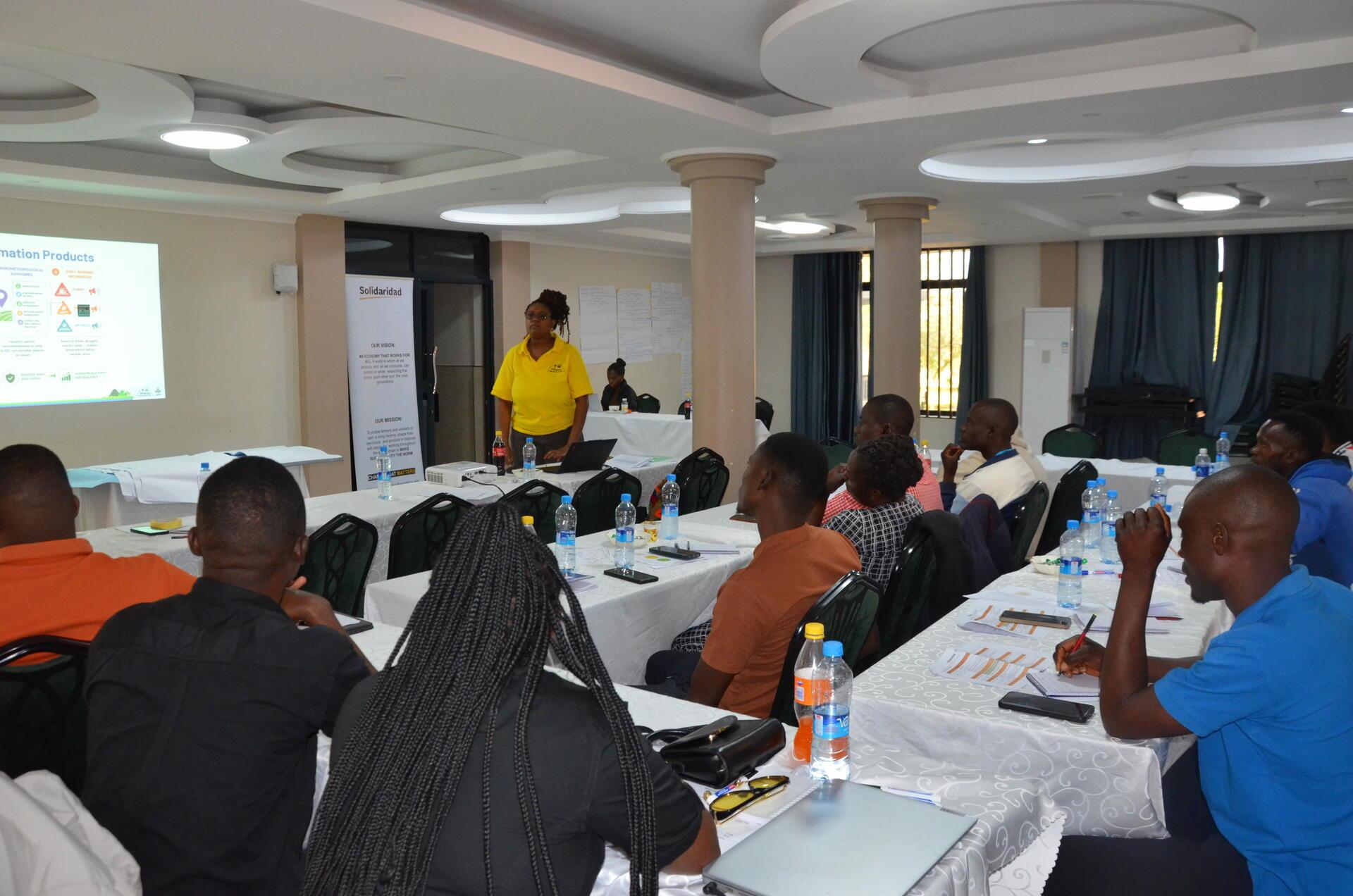 Strengthening climate-smart agriculture for soil and water management in Eastern Province, Zambia  - Image 8