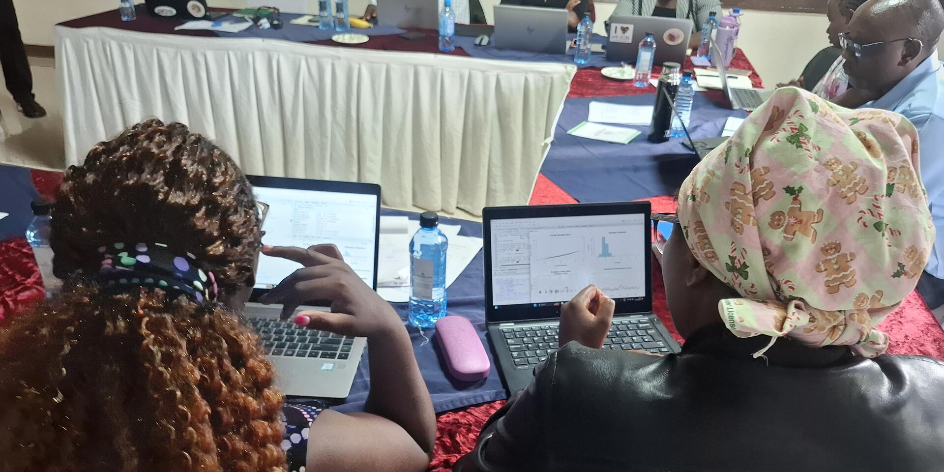Strengthening data-driven research for climate-resilient beans - Highlights from the BIOBELIEF data analysis workshop - Image 2