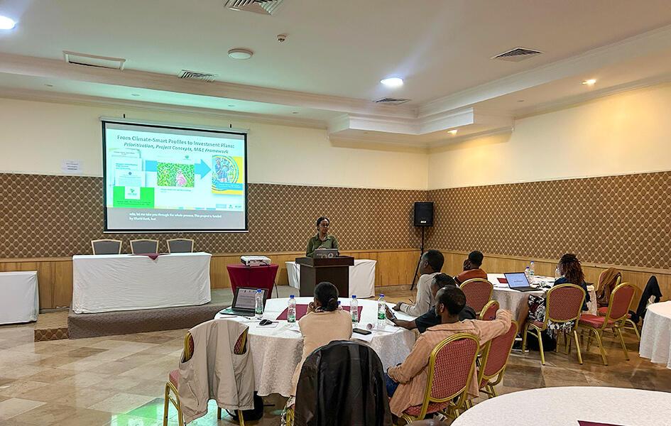Strengthening Ethiopia's climate resilience from the ground up - Image 1