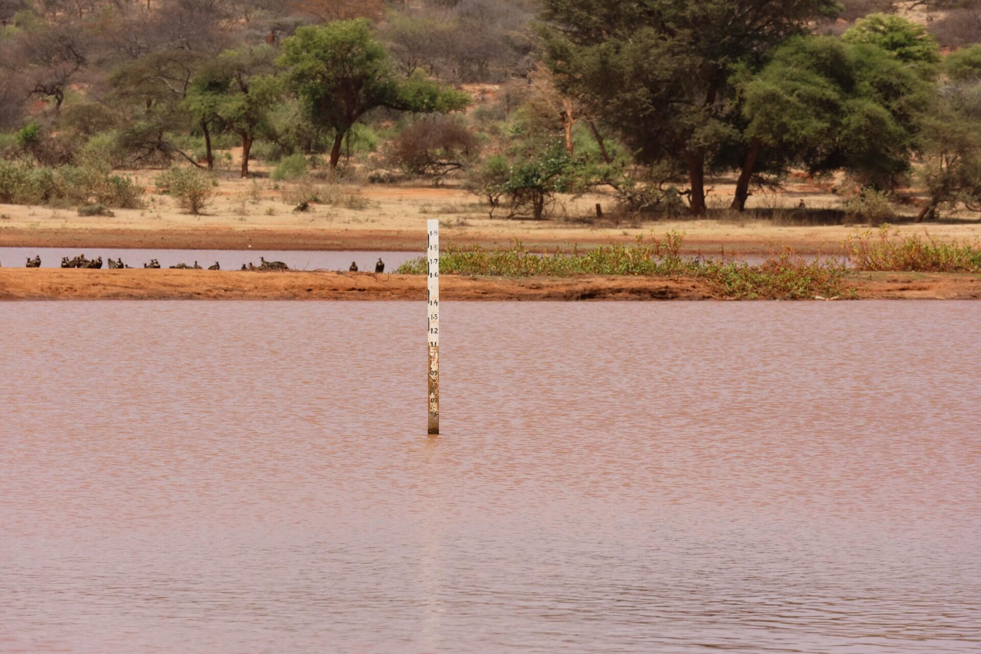 Surviving drought with better data - Ethiopian pastoralists use a digital monitoring system to avoid crisis - Alliance Bioversity International - CIAT - Image 4