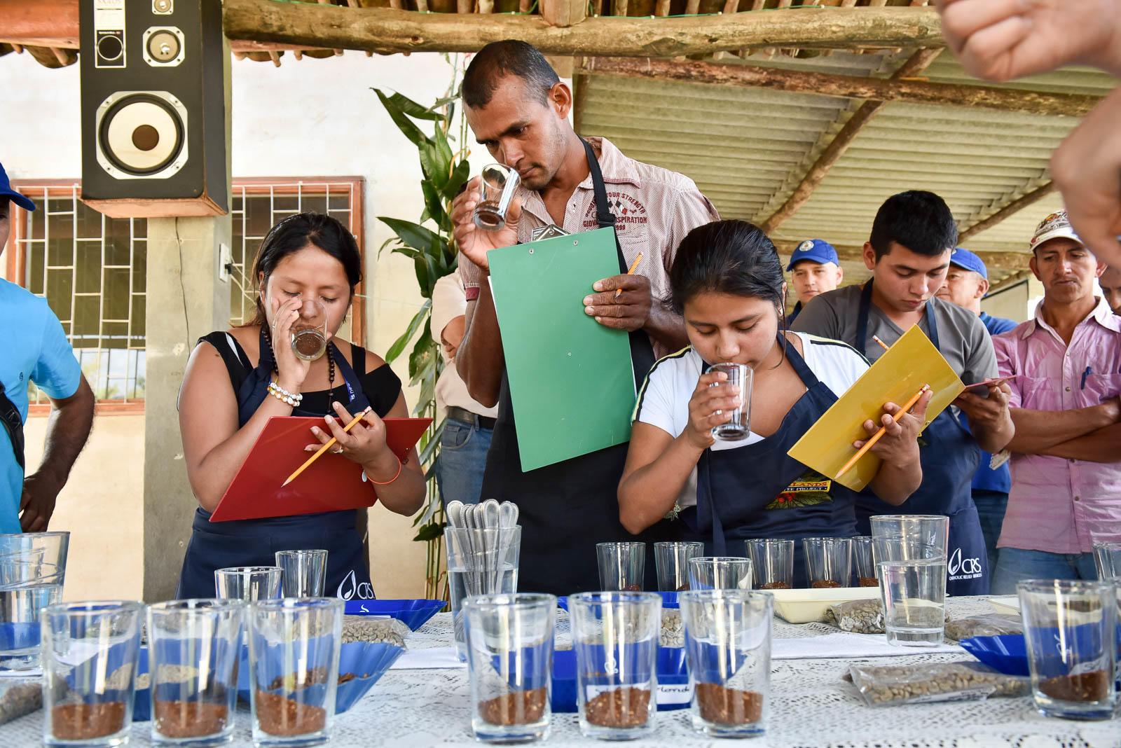 Sustainability Policy for Smallholder Farmers - Opportunities - Alliance Bioversity International - CIAT - Image 1