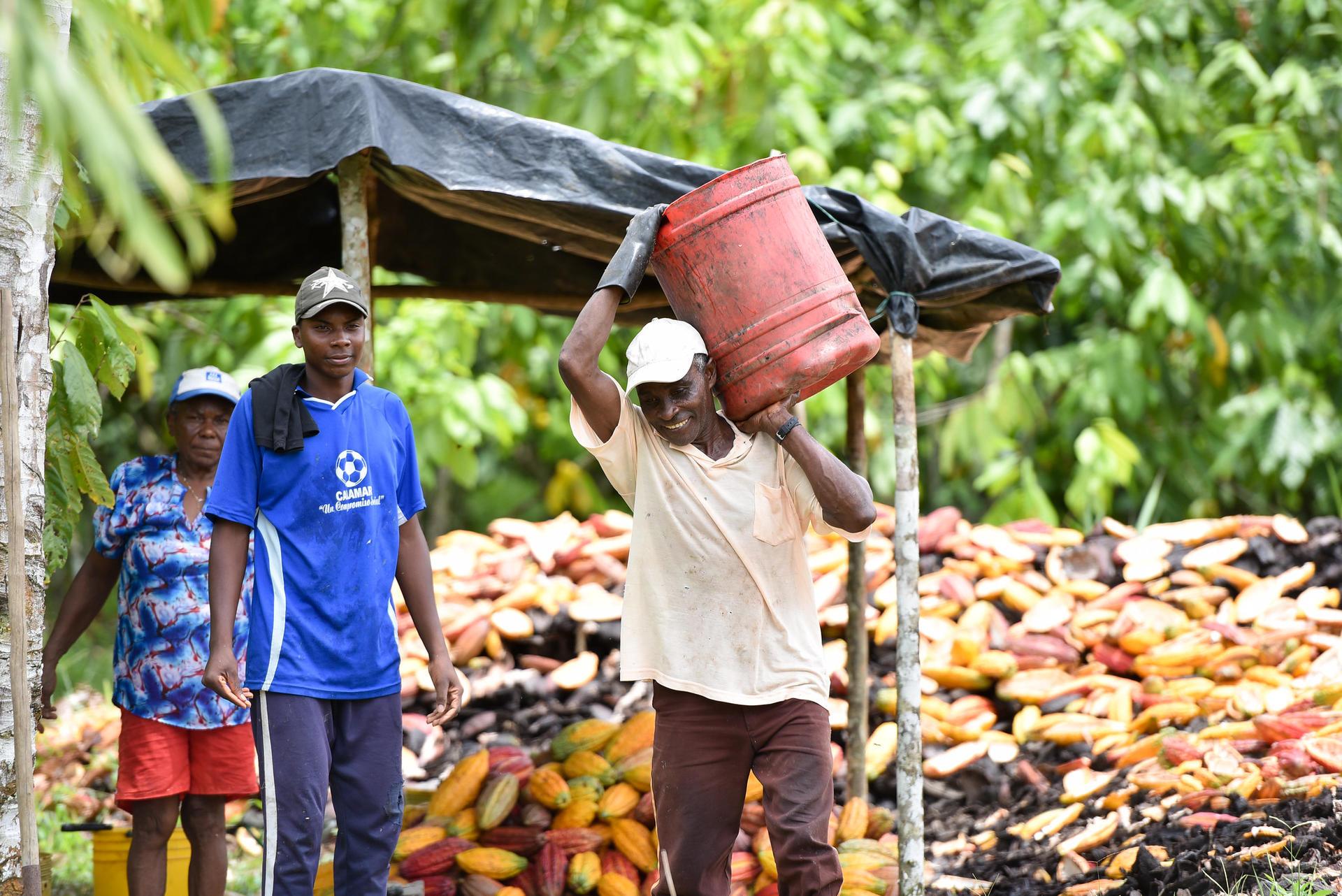 Sustainable Agricultural Development Roots of Peacebuilding - Image 3