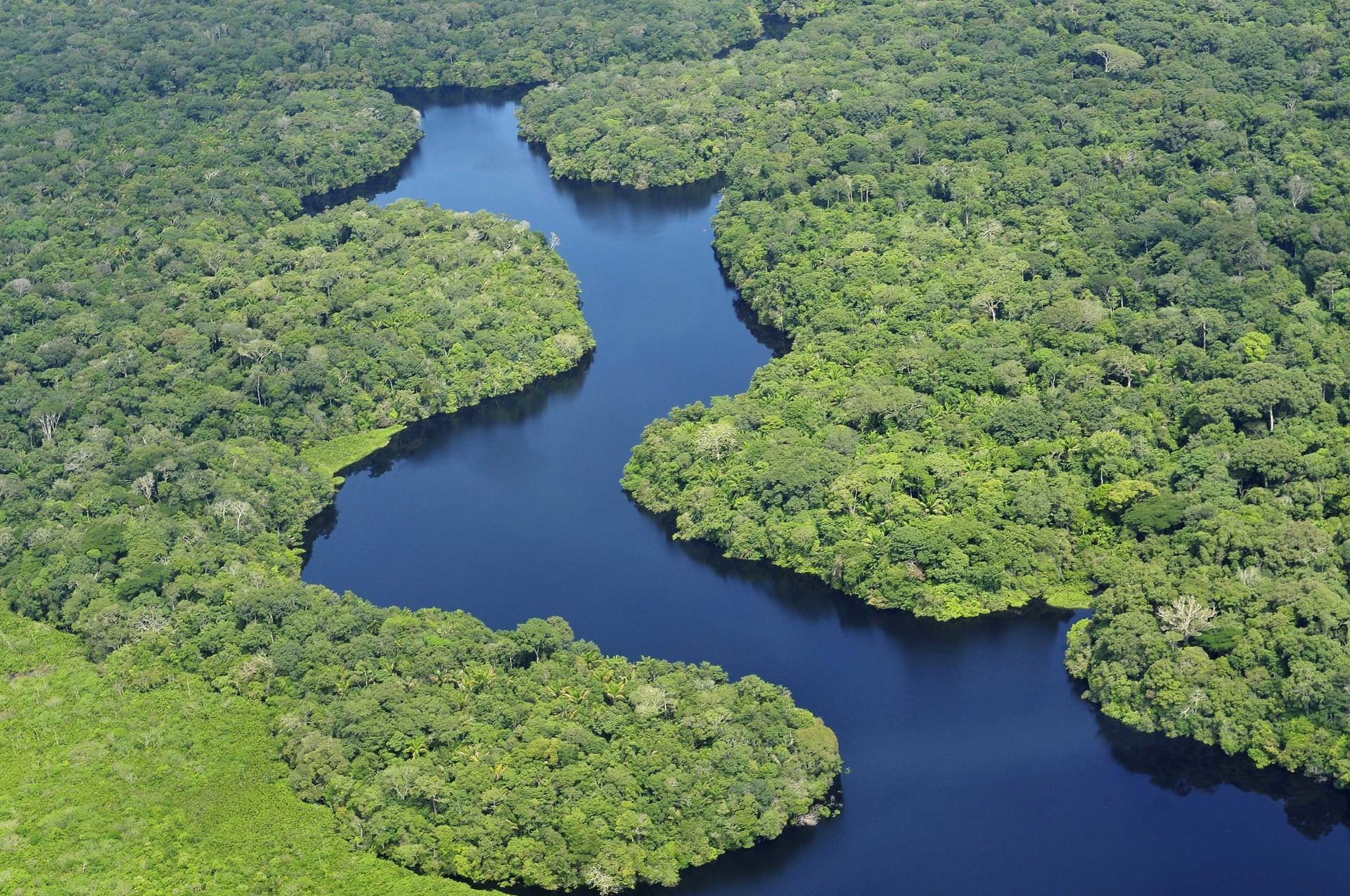 Sustainable finance in action takes us to the Brazilian Amazon