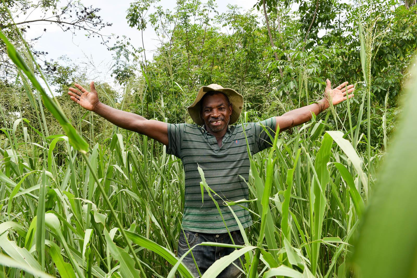 Sustainable Livestock Farming Practices for Resilience - Image 6