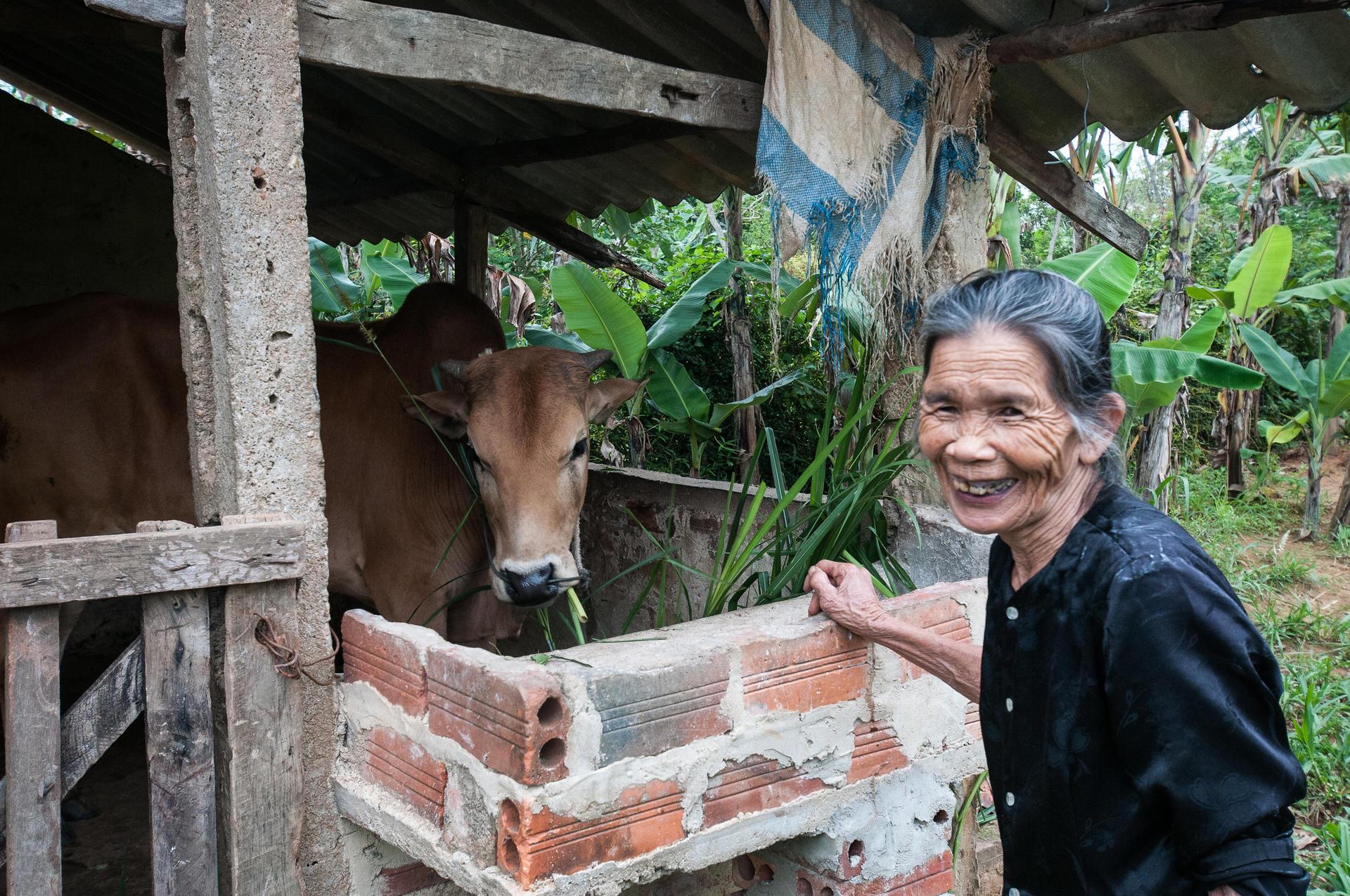 Sustainable Livestock Farming Practices for Resilience - Image  7