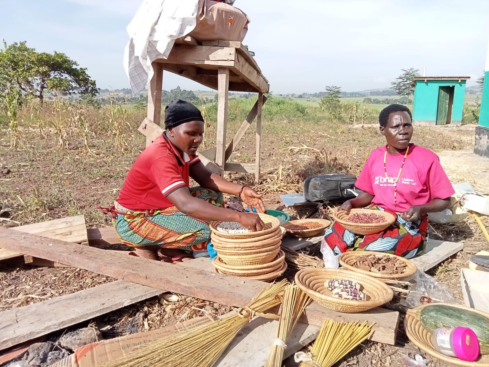 Sustaining Seed Banks through Value Addition -  Launching the Nyantonzi Community Seed Bank in Uganda - Image 1