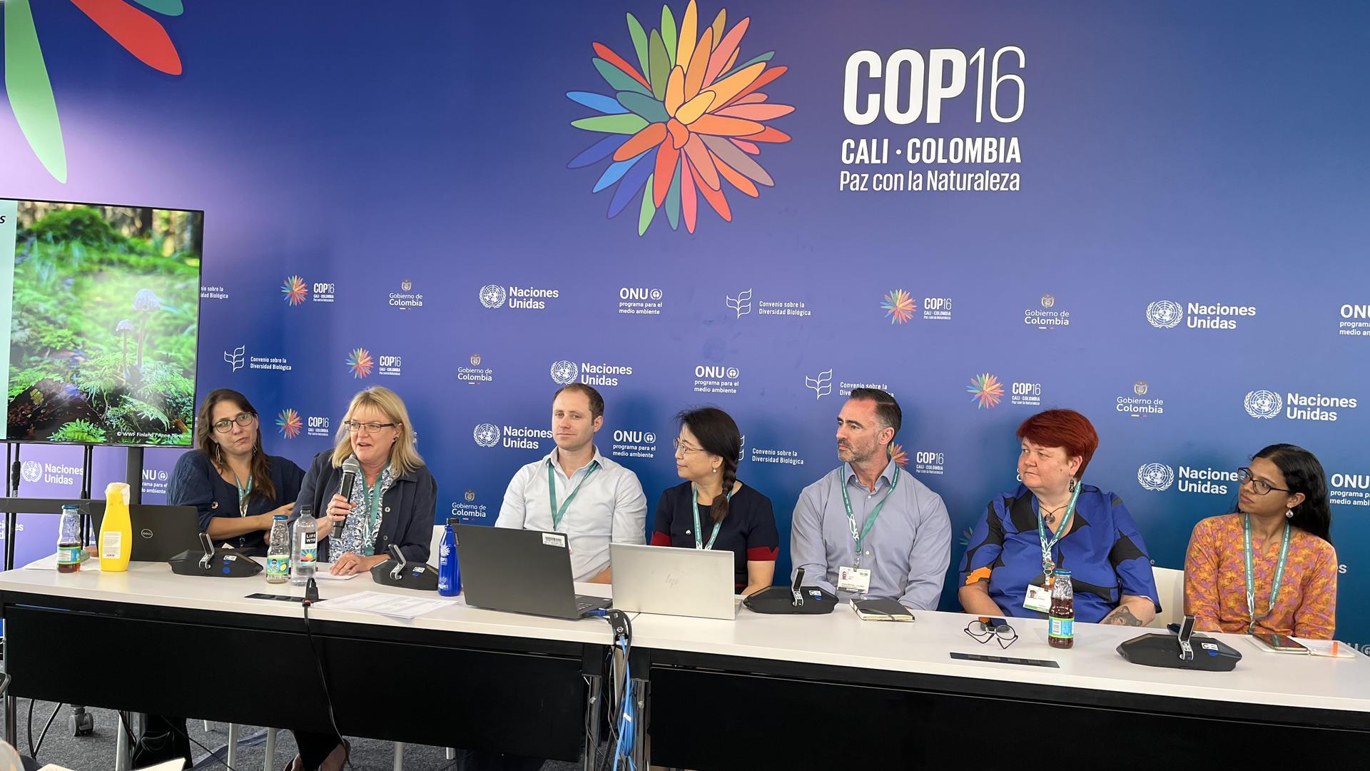 The Alliance at COP16 Cali hosts landmark biodiversity conference - Image 2