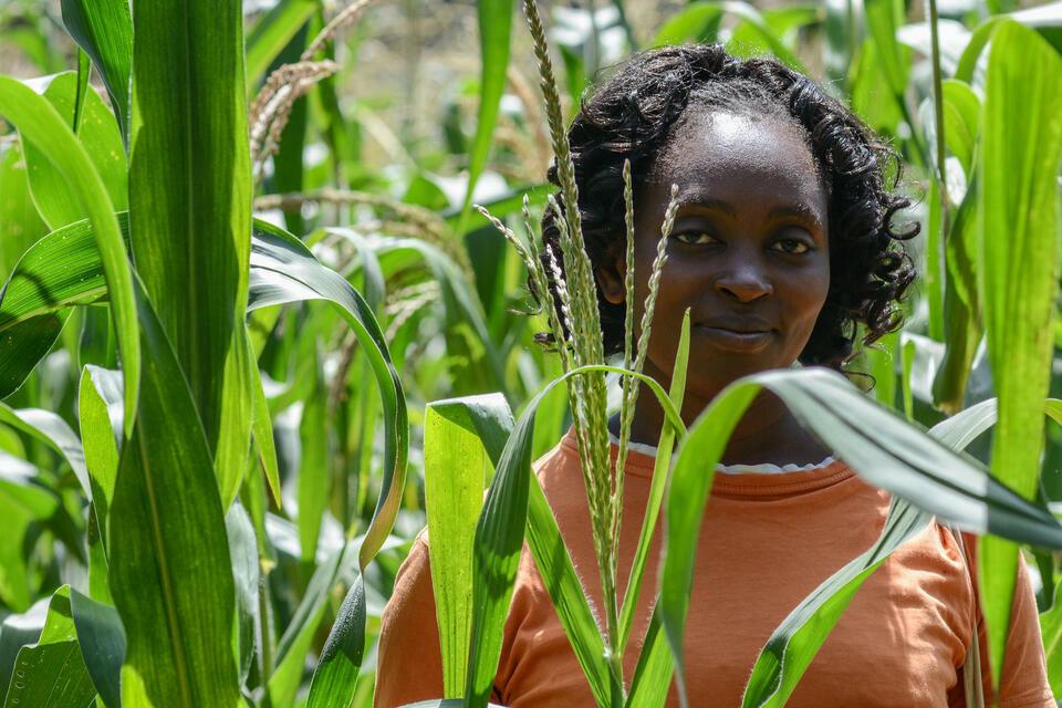  The Alliance at the Agrifood Innovation and Partnership Forum in West Africa - Image 1