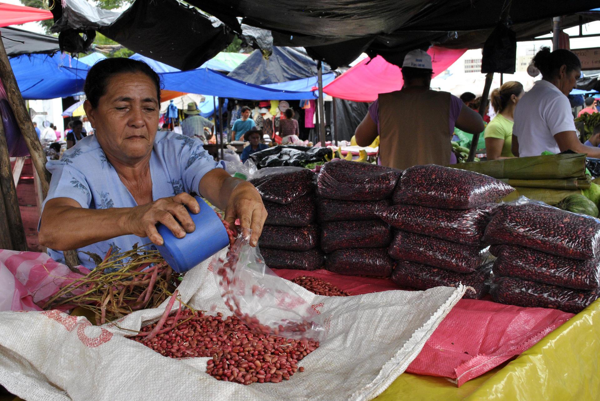 The Alliance supported a regional government in Peru to develop a bio trade strategy - Alliance Bioversity International - CIAT