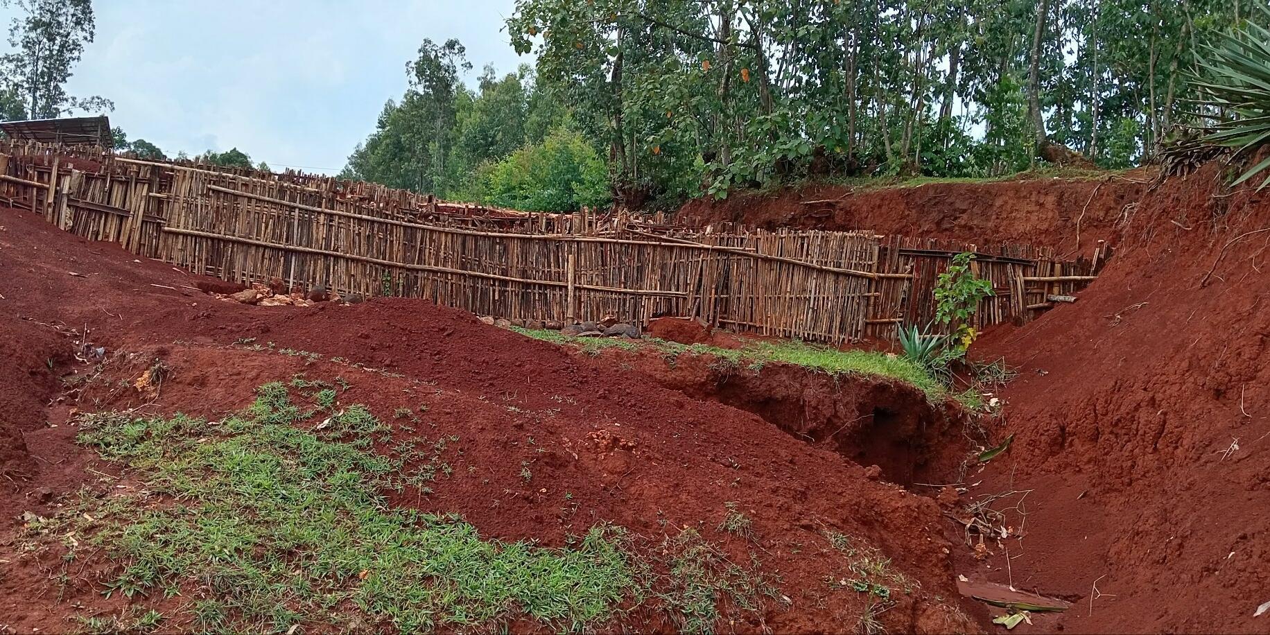 The Ethiopia Green Legacy Initiative embarks exemplary landscape restorations -  Evidence from the Gurage and Wolaita Zones of Ethiopia - Image 10